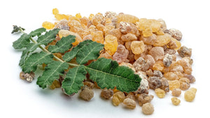 Shallaki (Boswellia)